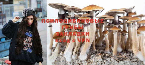 мяу мяу мука Абдулино